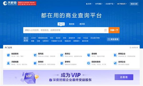 盤(pán)點(diǎn)2024年主流企業(yè)信息查詢(xún)軟件與信息技術(shù)咨詢(xún)服務(wù)